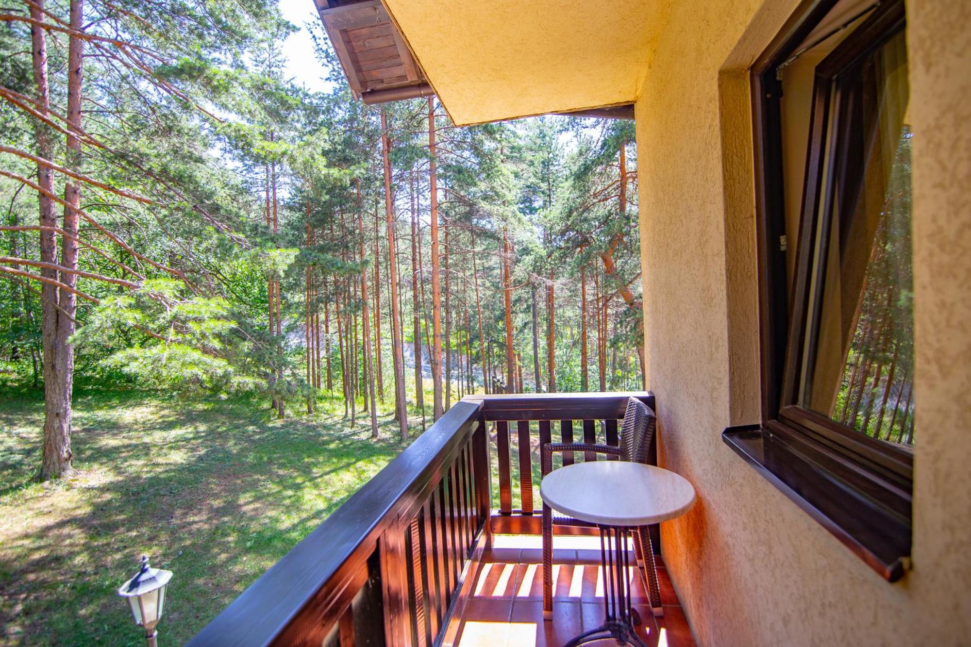 Vila Pina Zlatibor Exterior photo