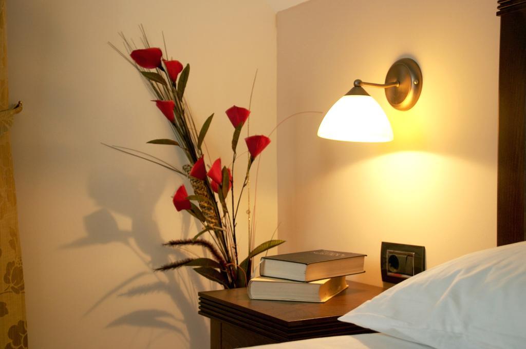 Vila Pina Zlatibor Room photo